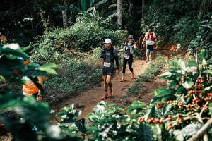 BIB: 
                            <button type="button" onclick="openModal(25856588)" class="btn btn-primary btn-sm float-right btn-popup" data-toggle="modal" data-target=".modal-high-quality">
                        <i class="fas fa-shopping-cart"></i> Add to Cart
                    </button>
                                            <button type="button" onclick="isThisMe(25856588, true)" class="btn btn-success btn-sm float-right btn-popup btn-isme hidden" data-toggle="tooltip" data-placement="bottom" title="นี่คือรูปของคุณใช่ไหม คลิกที่นี่เพื่อเอาเข้าอัลบั้ม">
                        <i class="fas fa-plus"></i> Add to album
                    </button>
                    <button type="button" onclick="isThisMe(25856588, false)" class="btn btn-warning btn-sm float-right btn-popup btn-isnotme hidden">
                        <i class="fas fa-ban"></i> Remove from album
                    </button>